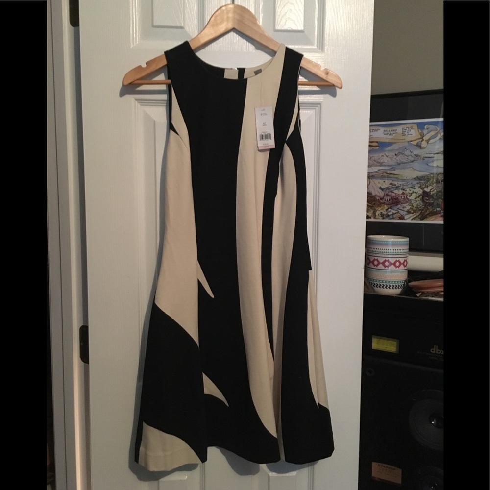 Banana Republic black and cream striped dress